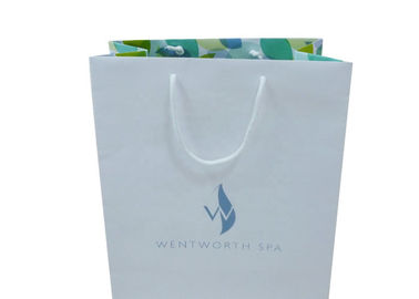 Eco - Friendly Paper Shopping Bags For Advertising / Promotion / Gift supplier