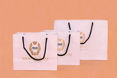Degradable Paper Shopping Bags Any Color Available For Grocery / Food Packaging supplier
