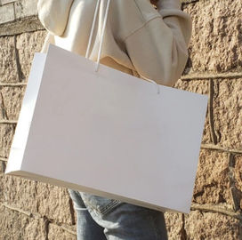 Reusable Plain White Paper Bags , Custom Made Paper Bags Smooth  Soft Edge supplier