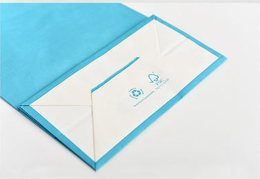 Blue Color Printed Kraft Paper Bags Customzied Logo With Twisted Paper Handle supplier