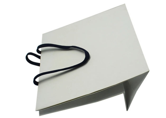 Personalized Logo Paper Shopping Bags High Durability With Rope Handles supplier