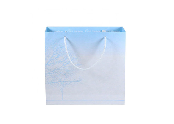 Exquisite Custom Printed Carrier Bags , Logo Paper Gift Bags With Handles supplier