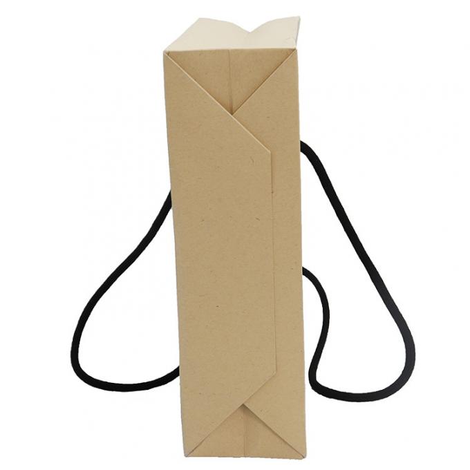 Biodegradable Custom Printed Paper Shopping Bags Durable Kraft Paper